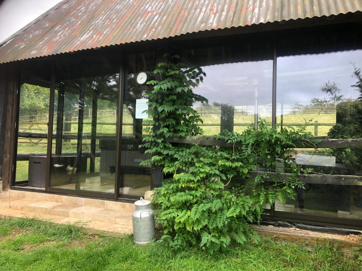Le Champ Des Possibles Bed & Breakfast Manerbe Luaran gambar