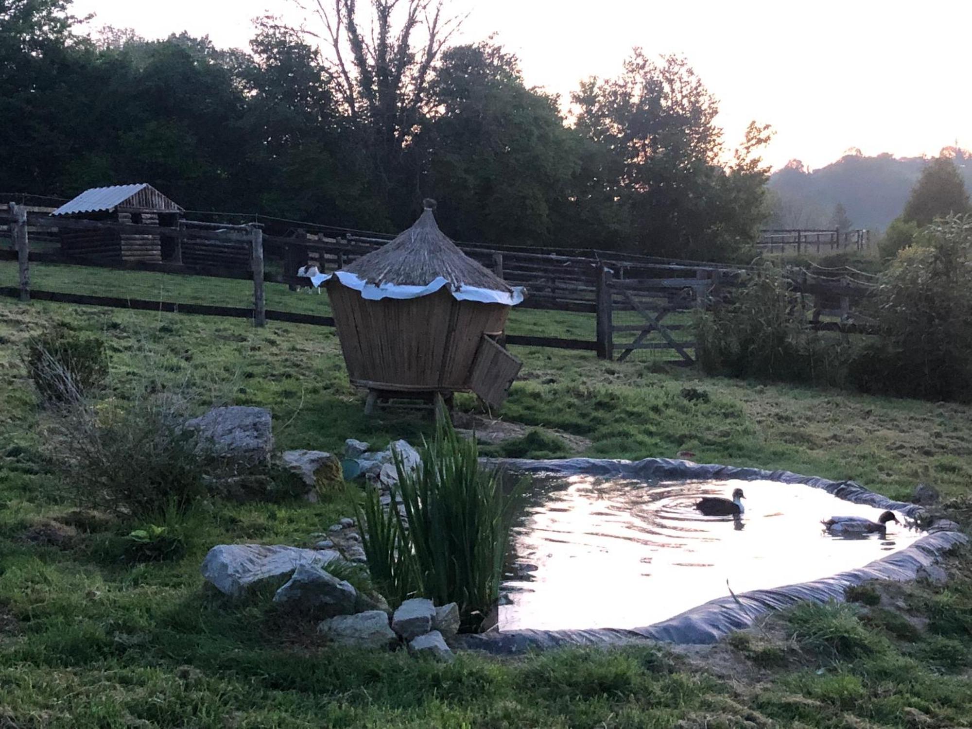 Le Champ Des Possibles Bed & Breakfast Manerbe Luaran gambar
