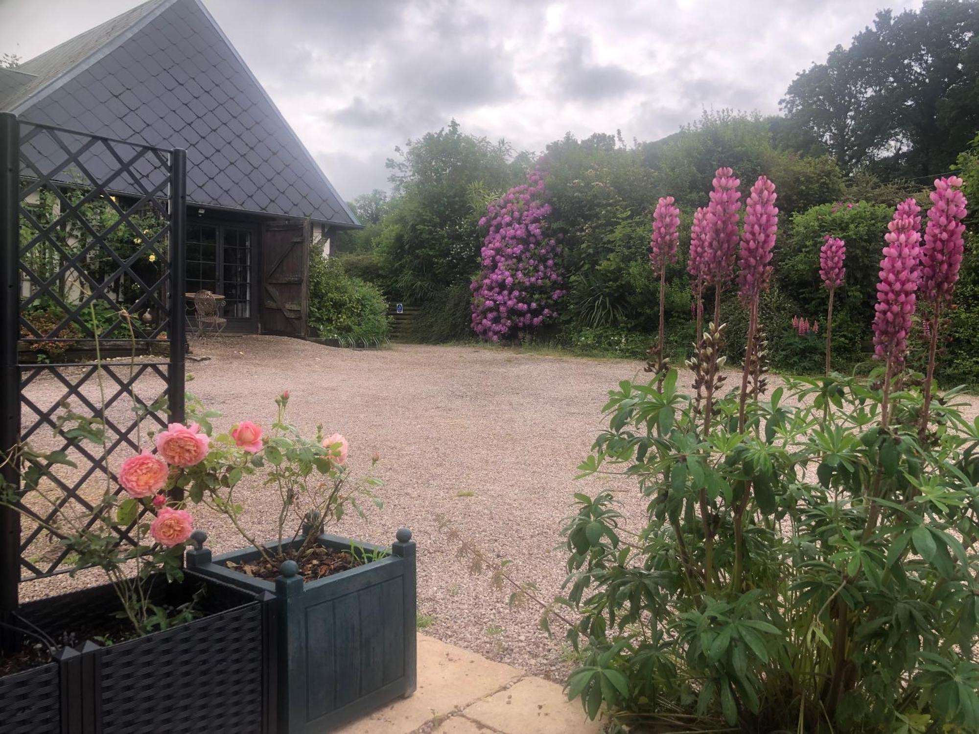 Le Champ Des Possibles Bed & Breakfast Manerbe Luaran gambar