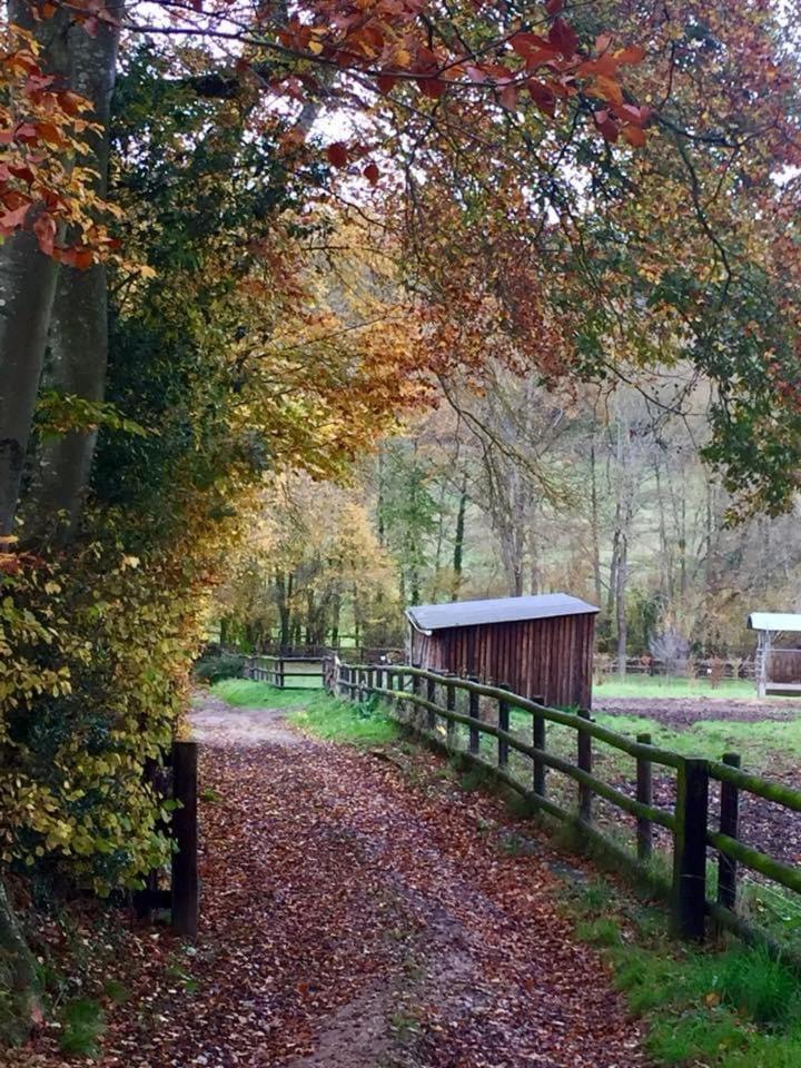 Le Champ Des Possibles Bed & Breakfast Manerbe Luaran gambar