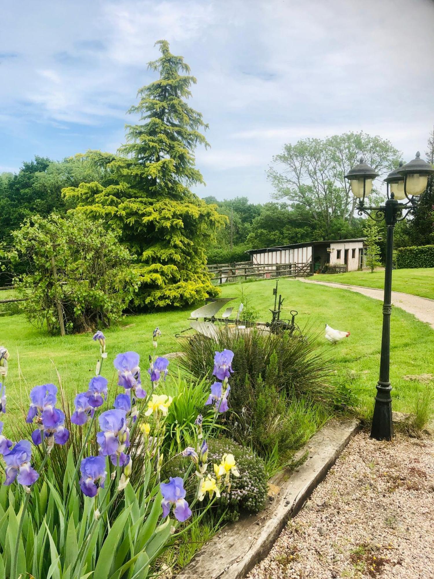 Le Champ Des Possibles Bed & Breakfast Manerbe Luaran gambar