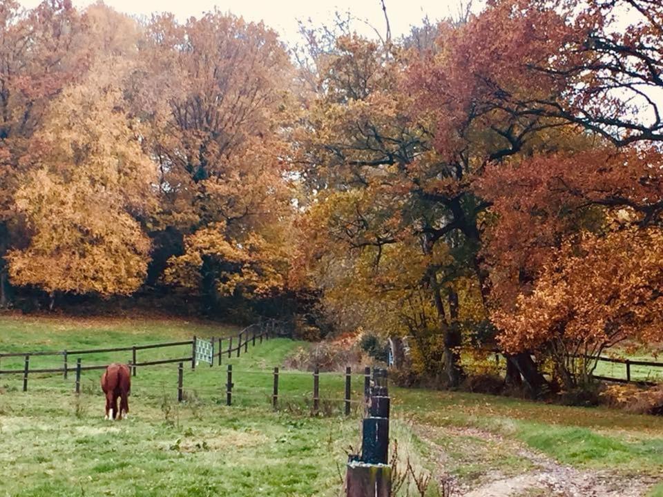 Le Champ Des Possibles Bed & Breakfast Manerbe Luaran gambar