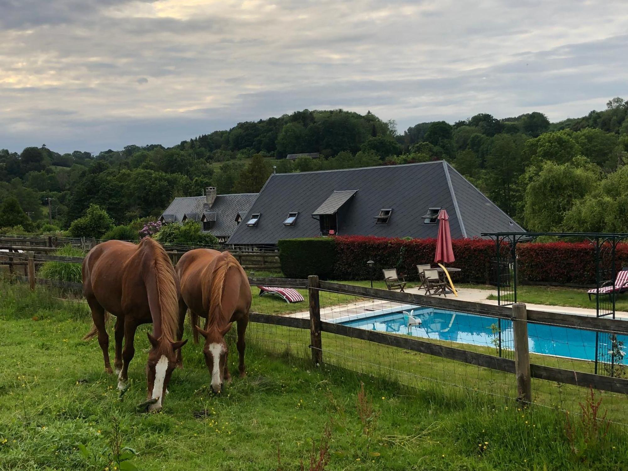 Le Champ Des Possibles Bed & Breakfast Manerbe Luaran gambar