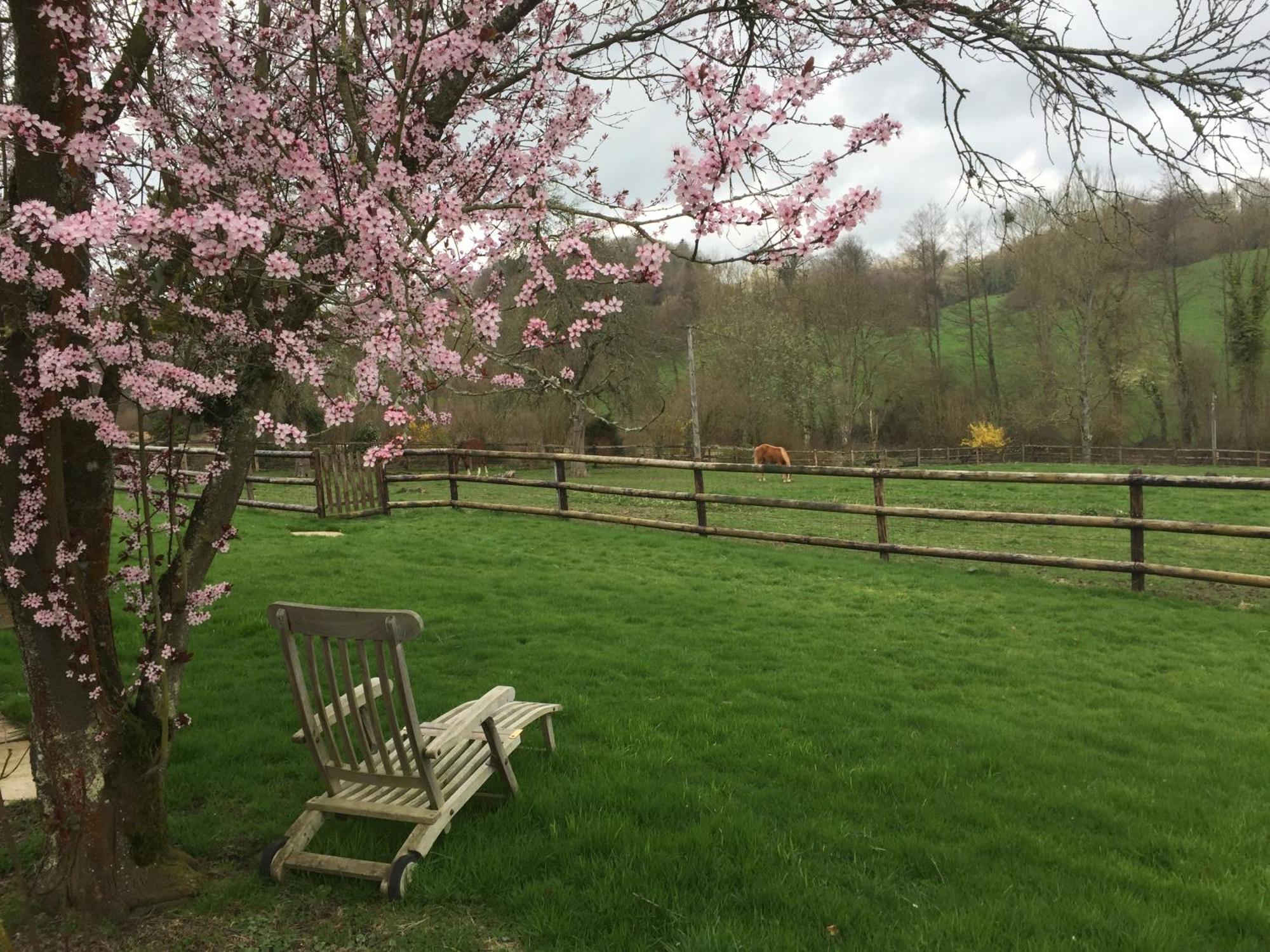 Le Champ Des Possibles Bed & Breakfast Manerbe Luaran gambar